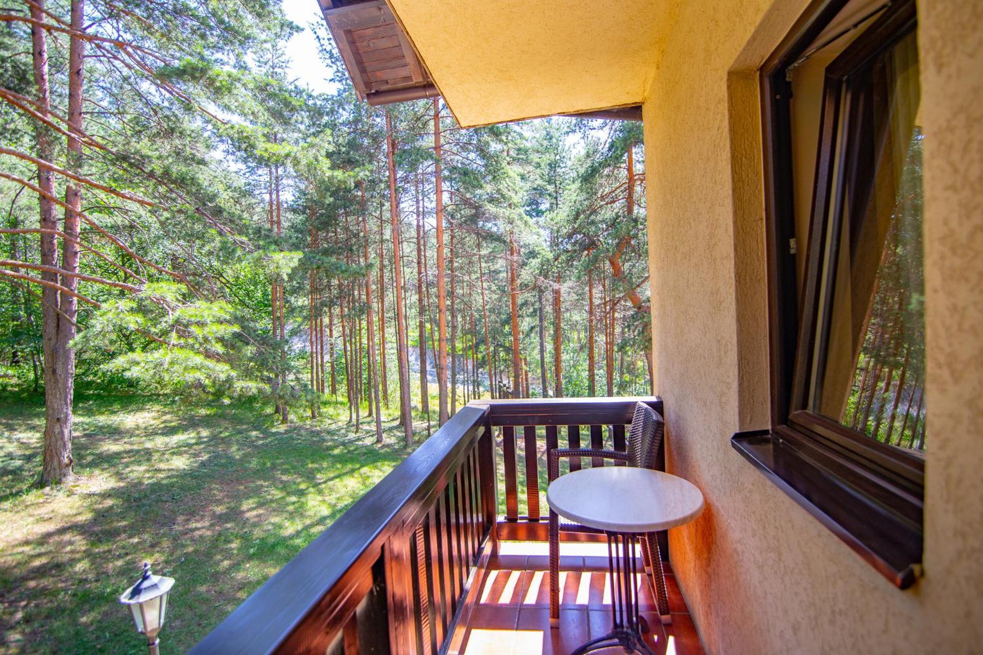 Vila Pina Zlatibor Bagian luar foto