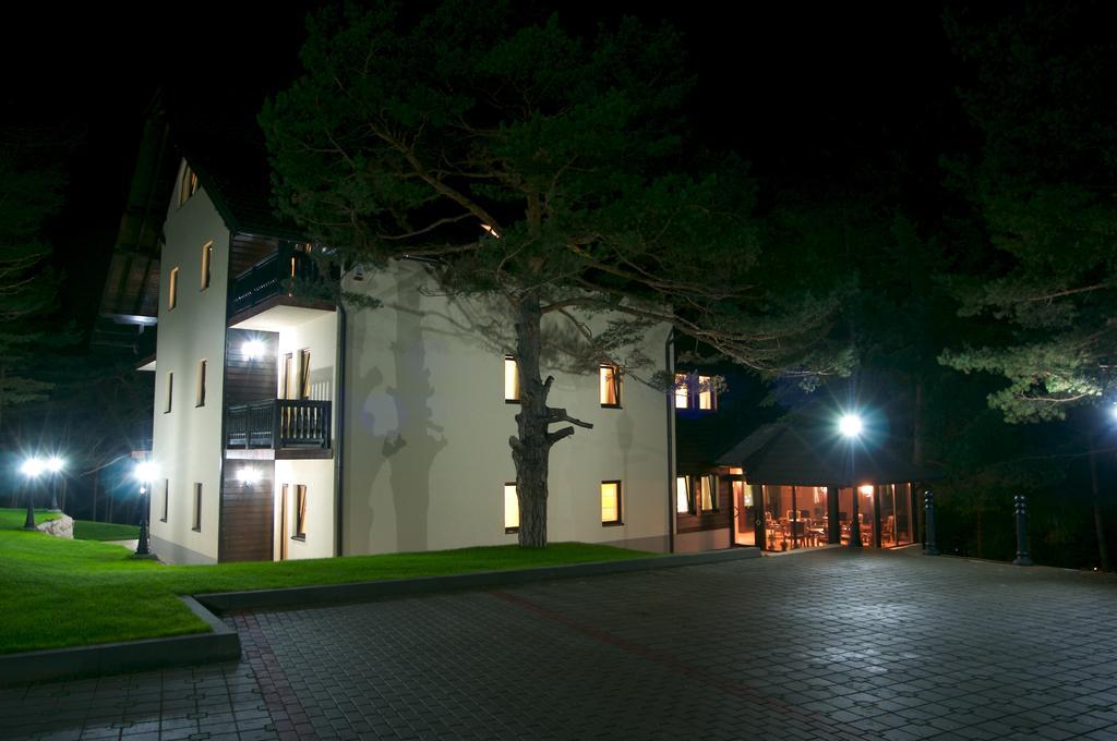 Vila Pina Zlatibor Bagian luar foto