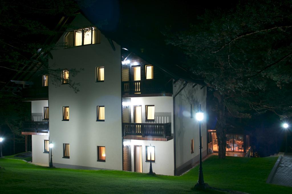 Vila Pina Zlatibor Bagian luar foto