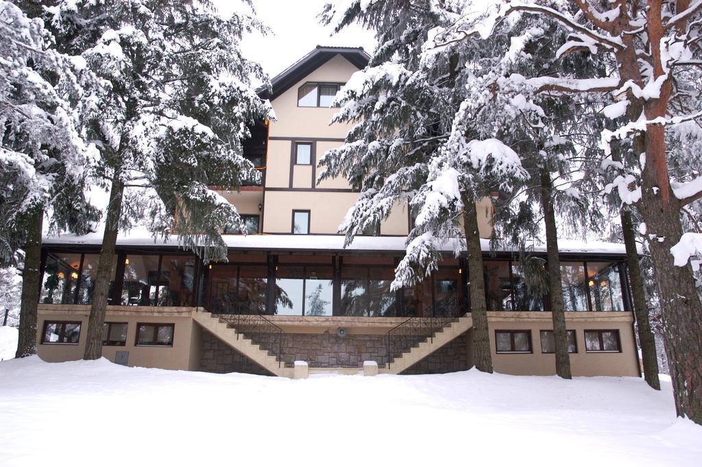Vila Pina Zlatibor Bagian luar foto